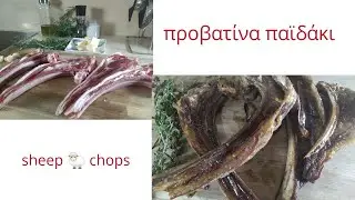 &pi;&rho;&omicron;&beta;&alpha;&tau;ί&nu;&alpha; &pi;&alpha;ϊ&delta;ά&kappa;&iota; 🐑 sheep chops