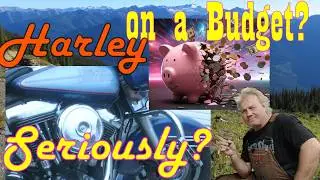 Стоит ли покупать дешевый Harley?