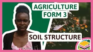 Soil Structure | F3 Agriculture