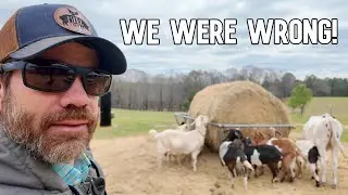 Did We Make a BIG Mistake Or Will It Be OK?
