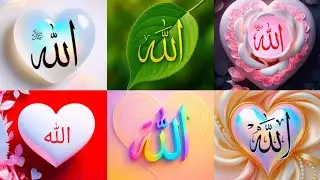 Allah Name Dp 2026 ❤️ Allah Name Dp Pics/Islamic Dpz For Whatsapp/ Allah Name Dp Sumik Collection