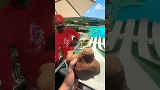 Funny monkey makes a video with a lifeguard🤣