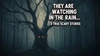 3 HOURS of True National Park Horror Stories | Heavy Rain & Black Screen | Deep Sleep Aid