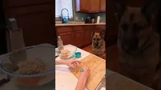 Super easy apple and pumpkin dog treats