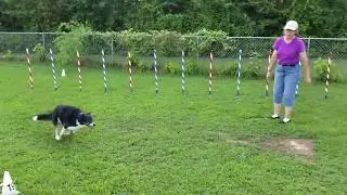 Verbal Agility Command Testing