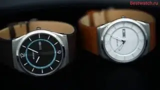 Обзор кварцевых часов Skagen SKW6304, SKW6305