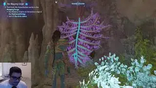 Warframe then Avatar
