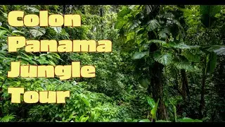 Exploring the Wild: Colon Panama Jungle Tour