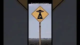 funniest road signs