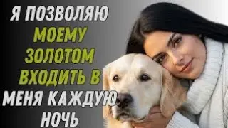 Моя собака делает это каждую ночь, когда моего мужа нет дома#история #трогательнаяистория #