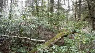 SeeMeHunt.com Intro