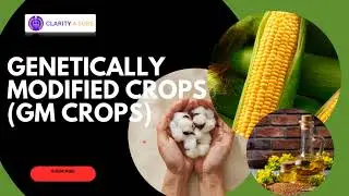 Genetically Modified Crops| GM Crops| Issues