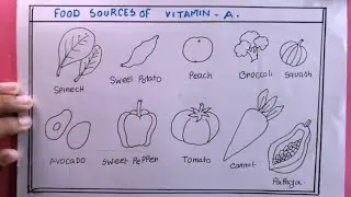 how to draw sources of vitamin A/vitamin A food drawing easy