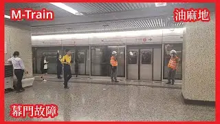 【幕門故障】2026-1-15 港鐵荃灣綫4列M-Train駛入／駛離油麻地站1號月台