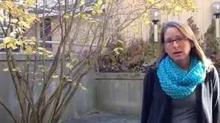 HCA Insider: Witch Hazel and Fall Colours
