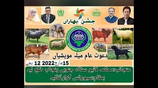 punjab layyah Mela Maweshian