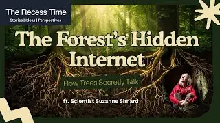 The Secret Network Under Every Forest | The Story of Mother Trees | Suzanne Simard | TRT