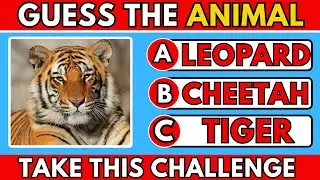 99% People Fail This Animal Image Quiz 🐾 | Can You Beat It?