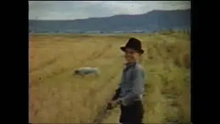 2 10 2010 00004