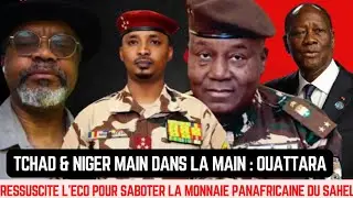TCHAD & NIGER MAIN DANS LA MAIN : Ouattara RESSUSCITE l&rsquo;ECO pour Saboter la Monnaie du Sahel. 
