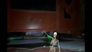 Commander wa bara skeleton dance