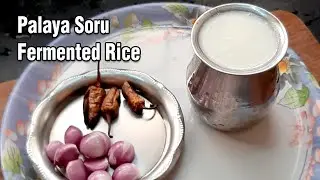 Palaya Sadham | Fermented Rice | Probiotic Break-fast | Summer Special | Cookrazy #shorts