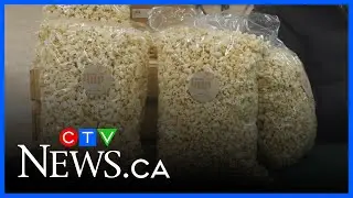 Fresh popcorn at St. Norbert Farmers Market