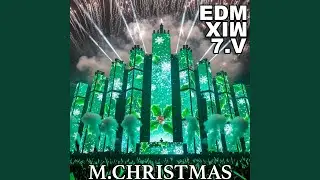 Drop the Bass (Feel The Beat EDM MIX 25)