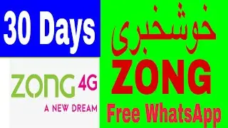 Zong Free WhatsApp | zong free internet | Zong offer |free WhatsApp package @ZongOfficial