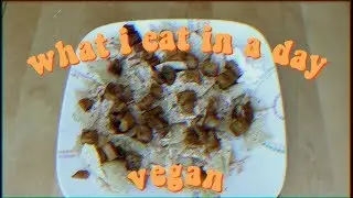 what i eat in a day: junk-food vegan | erin noelle