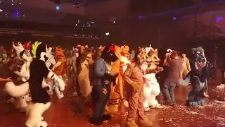 Eurofurence 24 Fursuit Friendly Dance / 2018-08-23