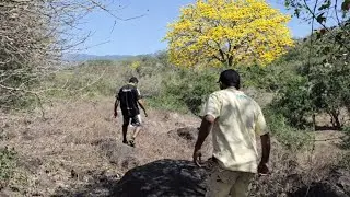 Caminamos Todo Esto Para Encontrarnos Con Esta Belleza 