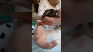 Il mio animalettoo!!!