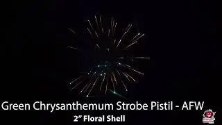 Green Chrysanthemum Strobe Pistil &ndash; 18142 &ndash; AFW - Tubes Case - Wholesale Fireworks - WFBOOM.COM