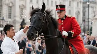 Karate Champion Hit Elite Guard&rsquo;s Horse&mdash;Then Faced a Lesson That Changed Everything| Royal Story