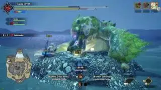Monster Hunter Rise Sunbreak Shenanigans