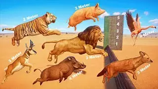 How High Can Animals & Birds Jump in Planet Zoo | Lion, Tiger, Flamingo, Buffalo, Jaguar, and More