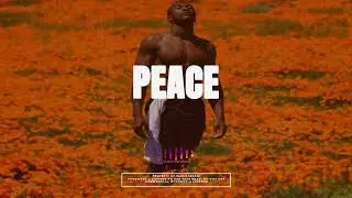 Afrobeat Instrumental 2025 x Burna Boy ft Omah lay Type Beat 