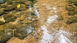 [4K Walk] This Water Is So Clear It Feels Unreal | Peaceful Instant Calm & Relaxation