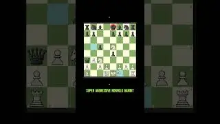 OH MY QUEEN!! Super Aggressive Norfolk Gambit