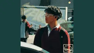 Pollen Allergies