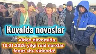 Toshkent viloyati, Bekobod tumani &mdash; Navoiy mol bozori