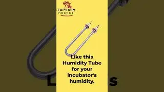 Best Humidity Tube for Incubator Efficiency
