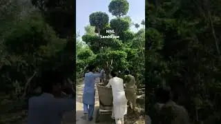 @MN.L-Landscape #greenpakistan #youtubeshorts #garden #viral #greenlandscape #instagram #landscape