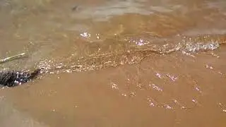 YIMBO, USENGE BEACH -  LAKE VICTORIA