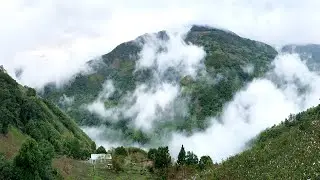 拉拉山~坐看雲起時+James Last 拉斯特在荷蘭