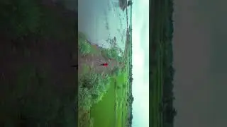 Drone Shot waterfalls #patan #chhattisgarh #hamarpatan