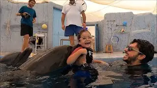 Dolphin Therapy Land ( Olivia )
