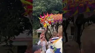 Auspicious Lion & Dragon Dance Performance, Chinese New Year Singapore