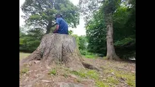 Dji Neo - A little Manual Mode Wander in the Woods.